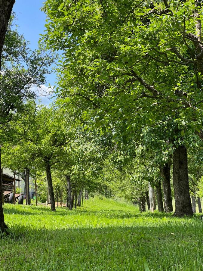 Ferienwohnung Mahar Feistritz im Rosental Exteriör bild